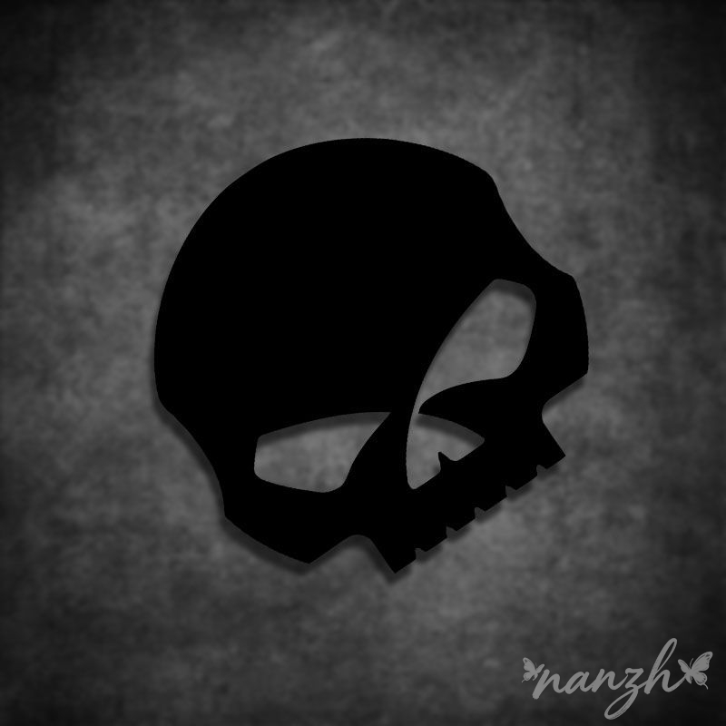 Защитная экипировка для мотоци – обзор и цена Motorcycle Gear Companies